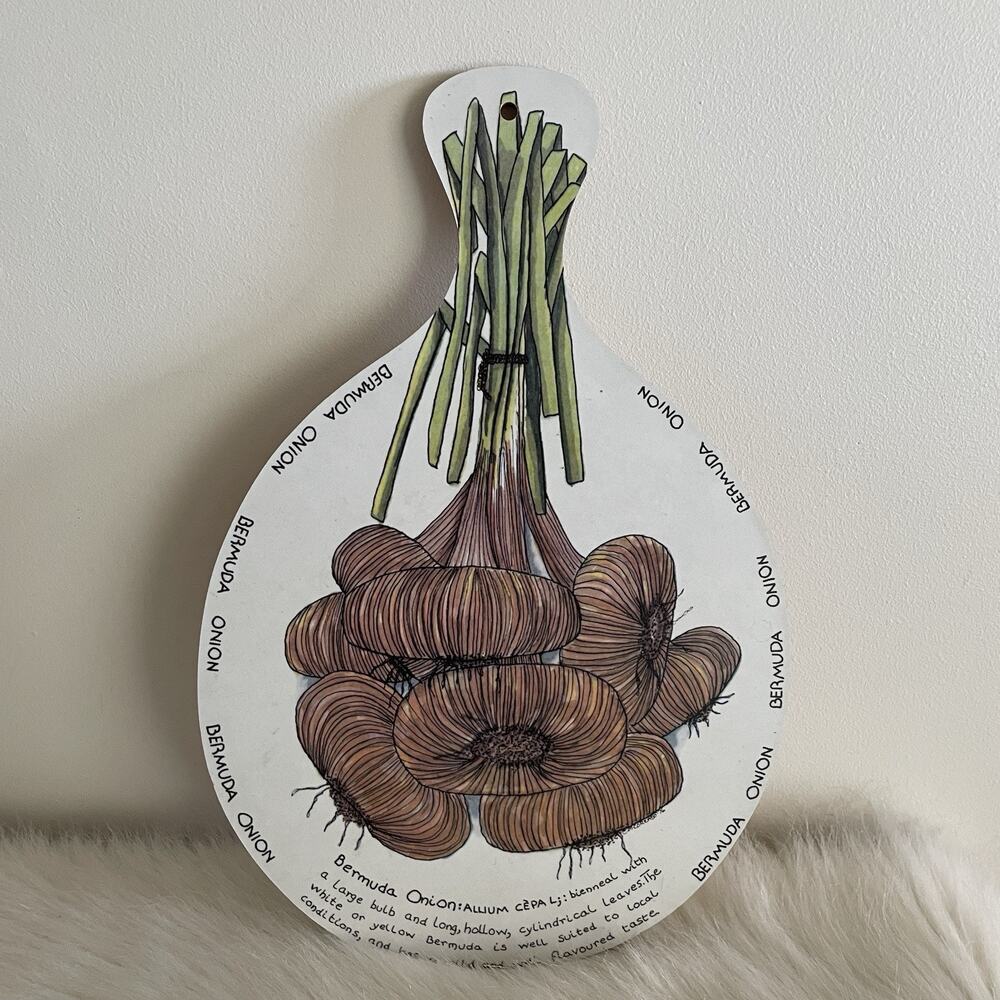 Vintage Bermuda Onion Taunton Vale Melamine Wood Wall Decor Pie Plate Trivet
